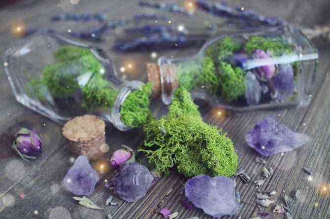 STYLECASTER |  Die besten Orte, um Kristalle zu kaufen |  Terrarium-Kristallglas