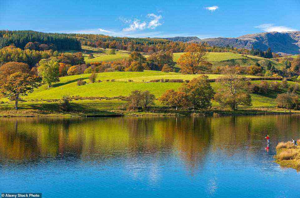Splendid isolation: Fly-fishing on Esthwaite Water. According to Deirdre, the view of the lake 'enchanted Potter'