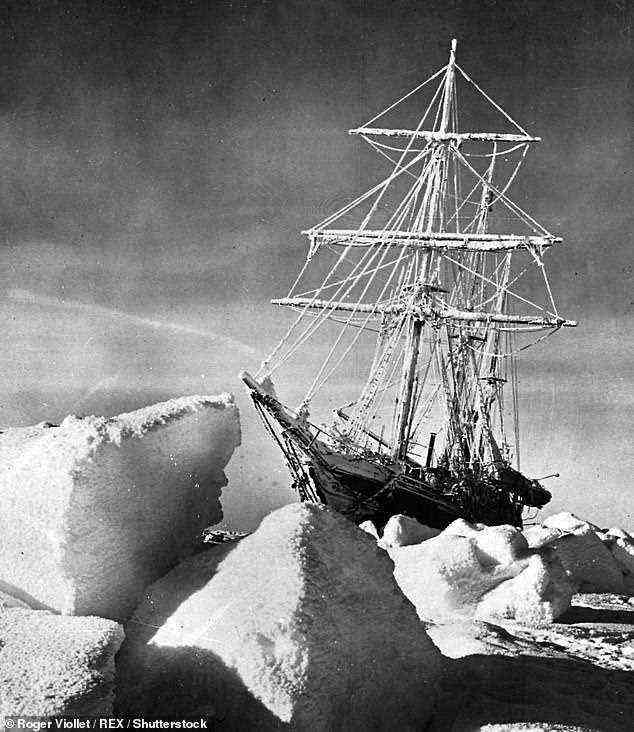 The expedition to find the wreck of Sir Ernest Shackleton's Endurance is set to sail next month, it was announced today on the centenary of the polar explorer's death. Pictured: a photograph of the vessel stuck in pack ice taken in the October of 1915, a few weeks before she sank