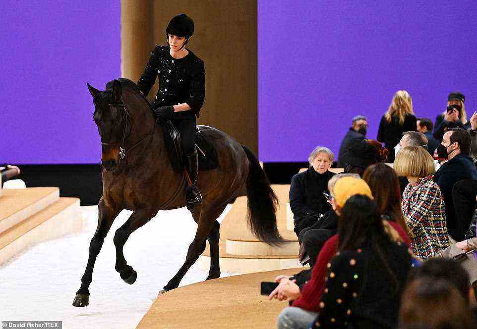 The new Chanel muse: Chanel's Paris Fashion Week shows are legendary for their elaborate set pieces, and on Tuesday the brand sent a real-life horse down the runway for its Haute Couture runway, instead of their usual favoured models