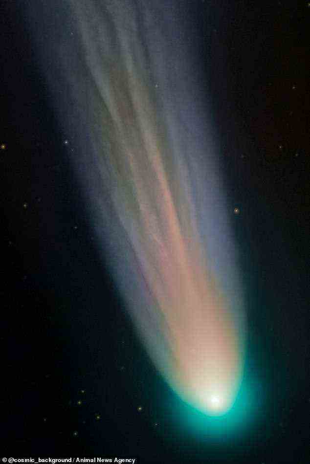 Komet Leonard, gesehen drüben in Arizona, USA, nachdem Astrofotograf Andrew McCarthy auf den perfekten Moment gewartet hatte, als er am hellsten war