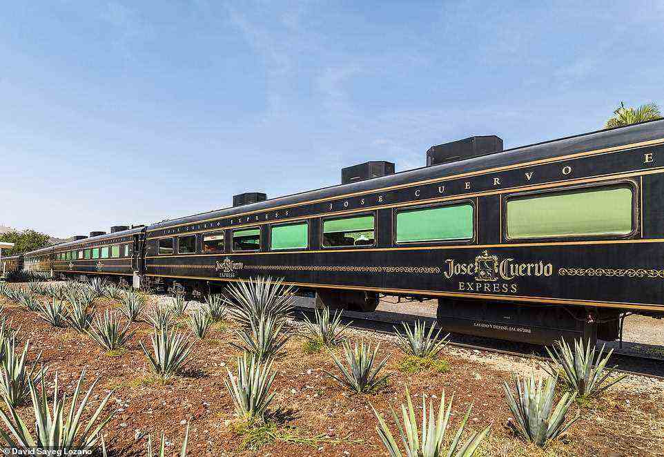 Der Jose Cuervo Express ist ein Zug in Mexiko, der sich ganz dem Thema Tequila widmet