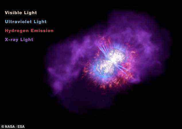Das Sternensystem von Eta Carinae ist berühmt für seine „Große Eruption“, ein Ausbruch, der es – für drei Tage im März 1843 – zum zweithellsten Objekt am Himmel machte.  Jetzt hat eine unglaubliche Visualisierung der NASA (im Bild) den sanduhrförmigen Nebel und die umgebenden Gaswolken, die durch die Explosion freigesetzt wurden, in atemberaubenden Details enthüllt