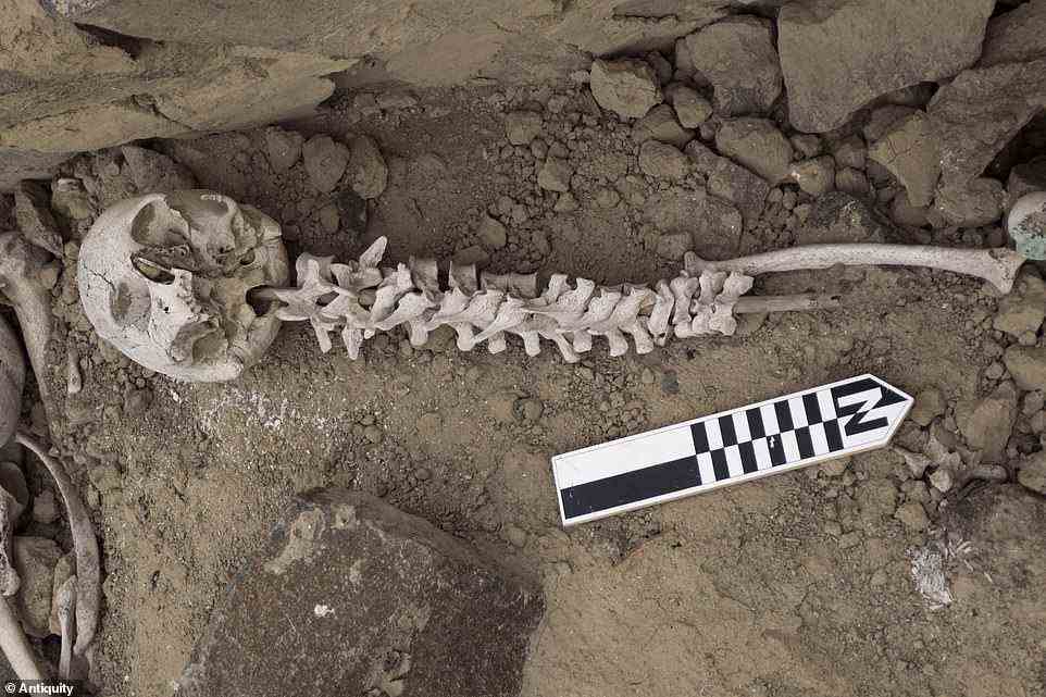 Ein internationales Expertenteam sagte, es sei ein bizarrer Versuch gewesen, die Toten im Chincha-Tal vor 500 Jahren zu rekonstruieren