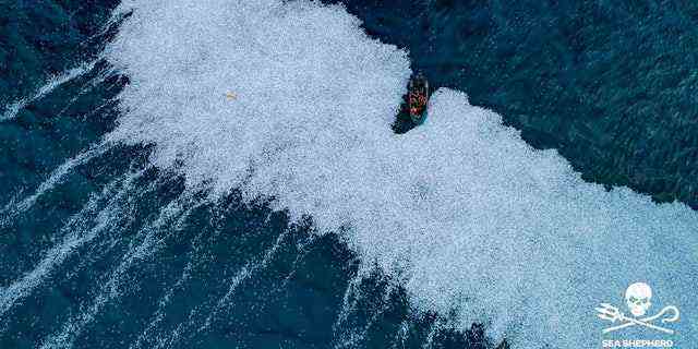 Der französische Meeresminister hat eine Untersuchung angeordnet, nachdem die Umweltorganisation Sea Shepherd ein Video und Fotos einer riesigen Fischhalde im Atlantik veröffentlicht hatte.