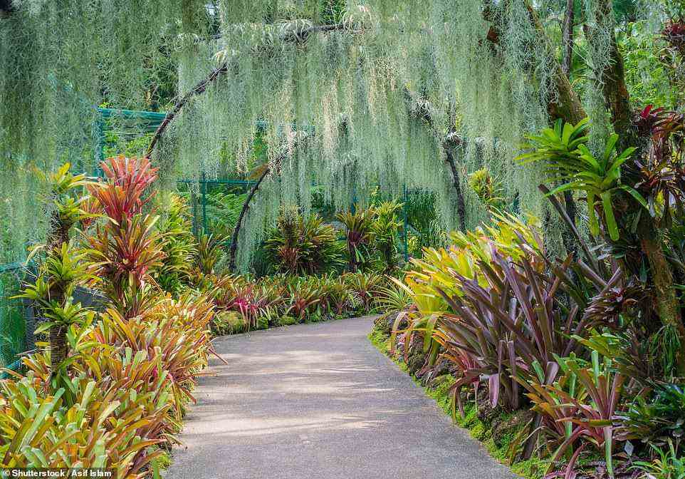 A stop-over in Singapore to visit the Singapore Botanic Gardens, pictured, is included in Brightwater Holidays' trip