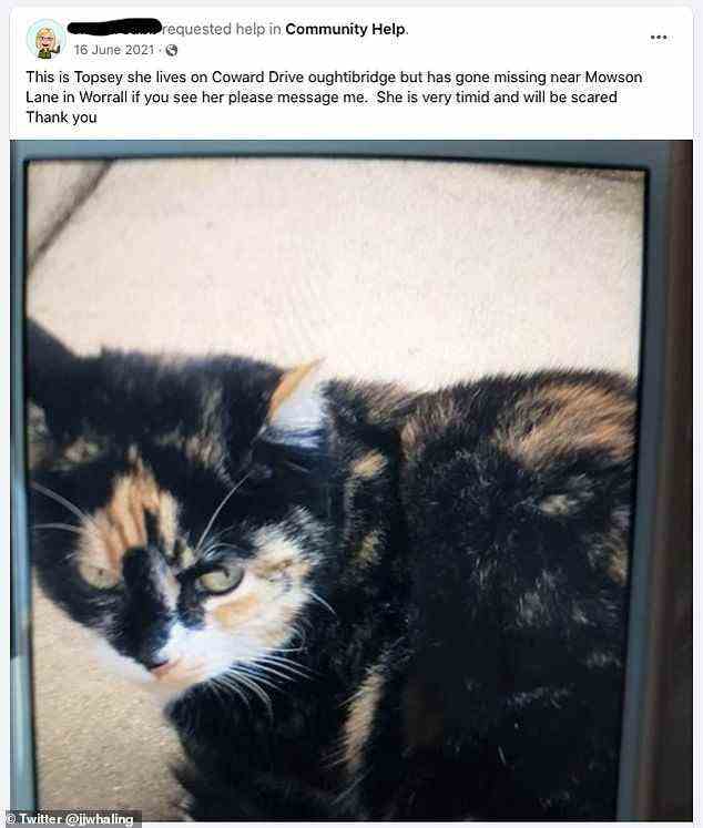 Alison Jubb hat im Juni letzten Jahres auf Facebook gepostet, als ihre Katze Topsey vermisst wurde