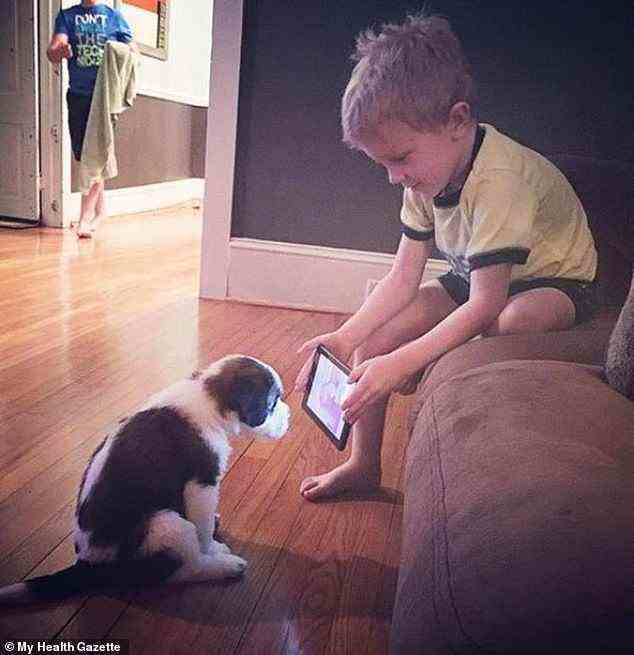 Einem jungen Hund neue Tricks beibringen!  Dieser Junge dachte, er hätte eine Abkürzung gefunden, um seinen neuen Hund zu trainieren – indem er den Welpen YouTube-Videos von anderen gut erzogenen Haustieren zeigte