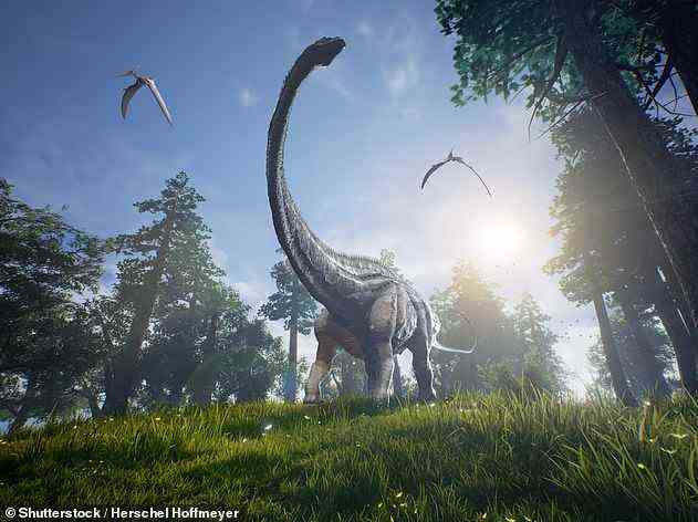 Sauropoden-Dinosaurier (im Bild) gingen auf vier Beinen und hatten markante lange Hälse.  Sie waren weit verbreitet – ihre Überreste wurden auf allen Kontinenten außer der Antarktis gefunden