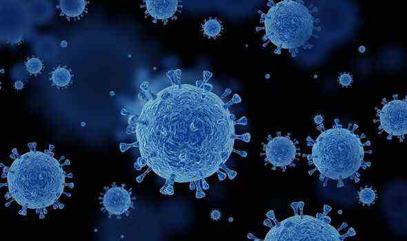 Eine künstlerische Darstellung von Coronavirus-Partikeln
