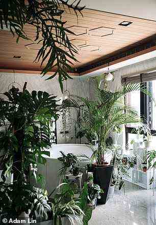 Eine von Adams spektakulärsten Umbauten ist das Badezimmer seiner Familie in Taiwan, wo er sich kürzlich in ein luxuriöses Dschungelbadezimmer seiner Träume verwandelt hat