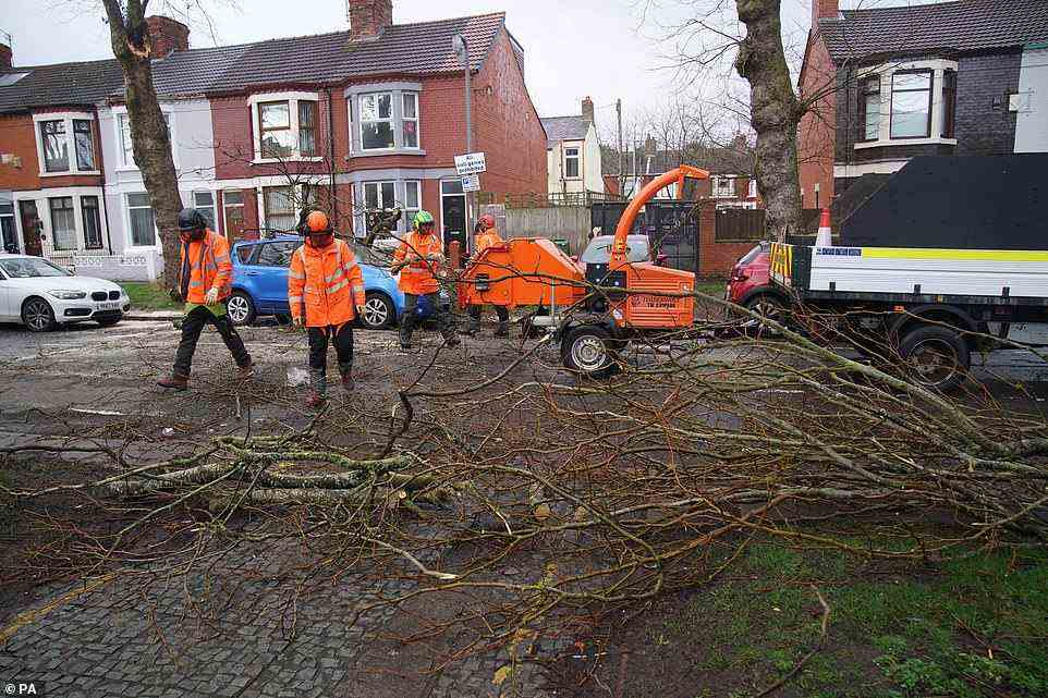 Tree surgeons clear away a fallen tree after high winds and wet weather in Liverpool this morning