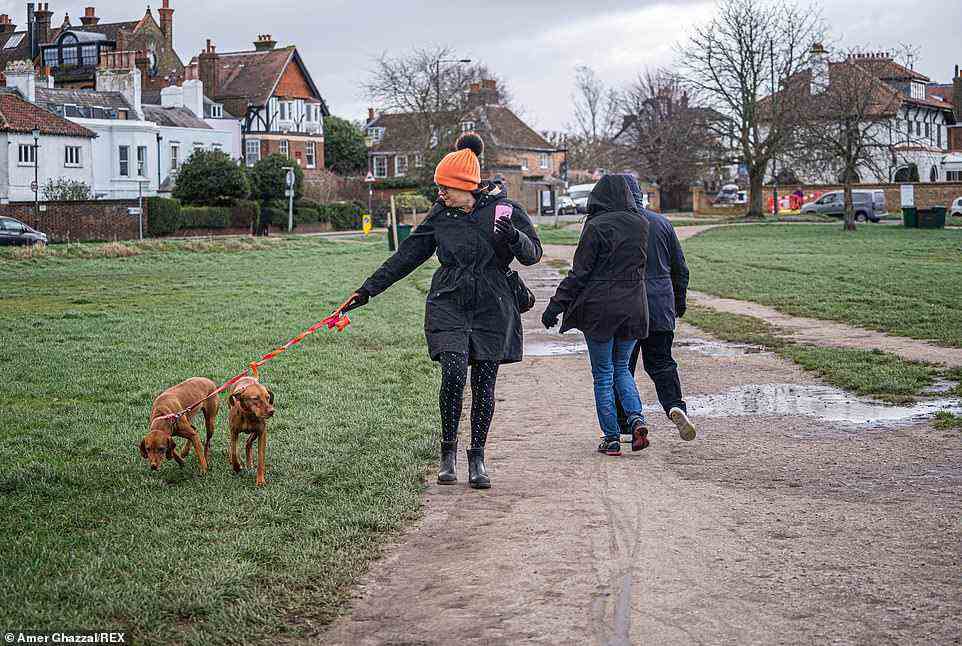 Dog walkers brave the strong winds this morning on Wimbledon Common in South West London