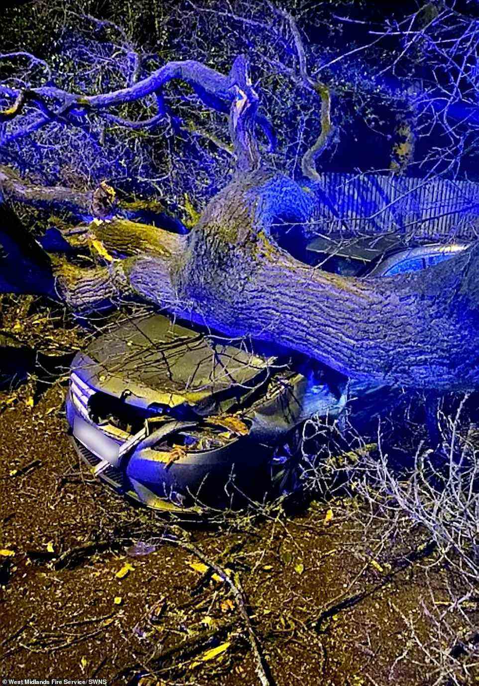 A tree crashed onto a car in Sutton Coldfield last night but fire crews said it was a 'very lucky escape' for the two people inside