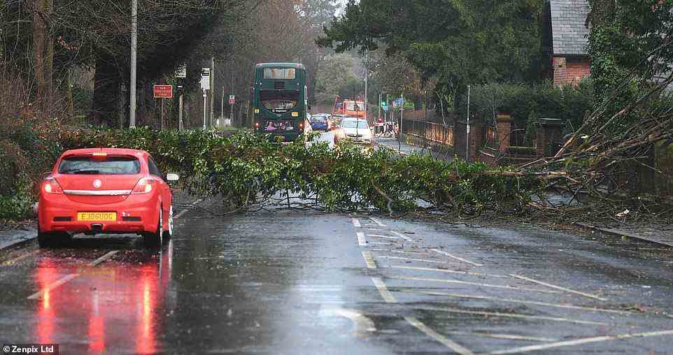 Fallen trees block a car from getting through in Didsbury, Greater Manchester, during the morning rush hour today