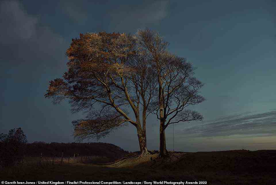 UK photographer Gareth Iwan Jones was a finalist in the Landscape category. He said of his entries: 'This project was born of the Covid-19 lockdowns, and the impact upon my work as a portrait photographer. Inspired by my home county of Wiltshire, where the distinctive landscape features many knolls with lone trees raised above the horizon line. Unable to photograph people, I turned to my love of trees. I wondered if it was possible to take a unique portrait of these quiet giants. I chose to photograph against dusk skies and lit the trees with drones to create an otherworldly impression'