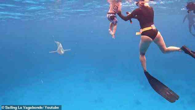 Lenny wurde gesagt, er solle leicht ins Wasser treten, anstatt zu springen, weil das Spritzen die umliegenden Haie auf seine Anwesenheit aufmerksam machen würde