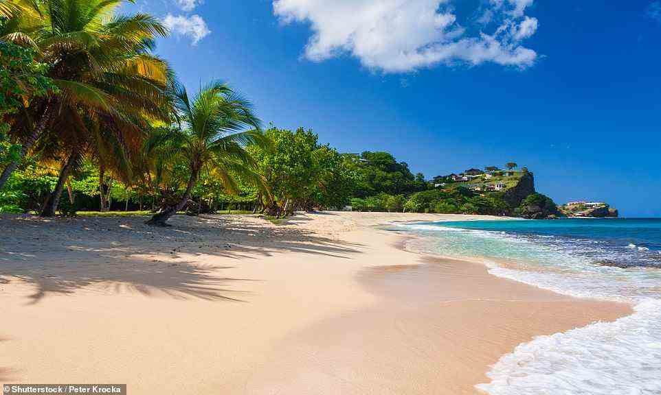 Herrlich: James Henderson sagt, Urlauber sollten eine Pause von Grenadas Stränden wie dem Strand von Morne Rouge (oben) einlegen, um die Schokoladenerlebnisse der Insel zu genießen