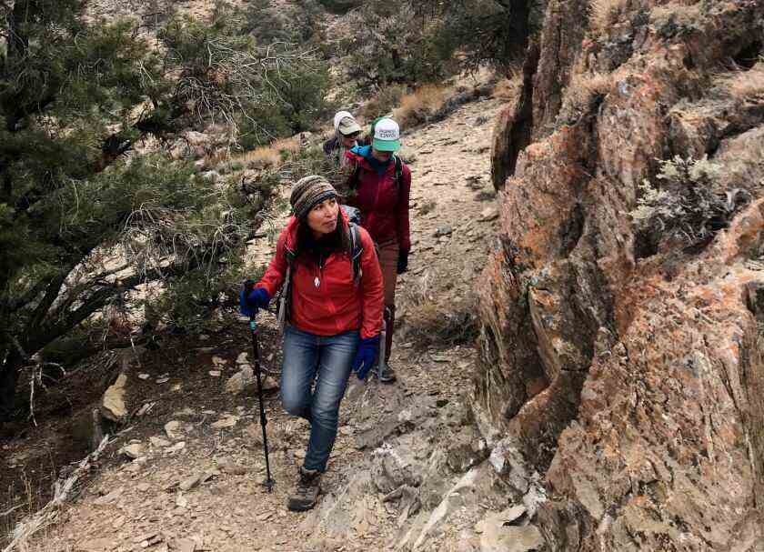 Drei Personen wandern in einem Gebiet der Conglomerate Mesa-Wildnis, wo das Inyo-Felsen-Gänseblümchen gefunden wird.