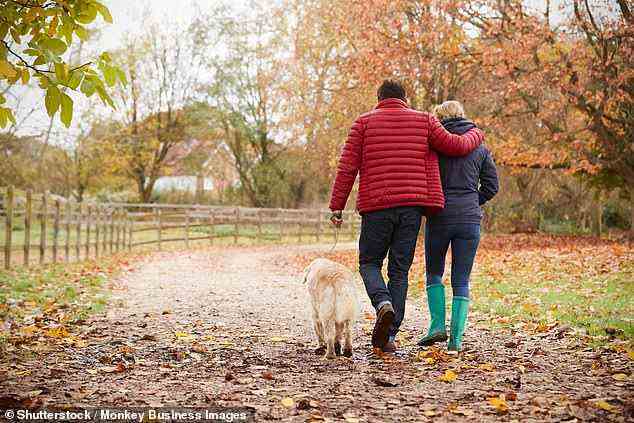 Für die Studie testeten die Forscher mehr als 1.300 Personen mit einem Durchschnittsalter von 65 Jahren. Personen mit Hunden profitieren von regelmäßigen Spaziergängen, da Bewegung mit einem gesünderen Gehirn verbunden ist (Archivbild)
