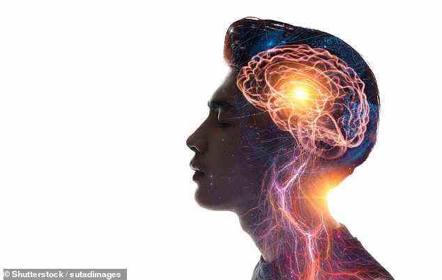 Forscher der University of California, Berkley, haben herausgefunden, dass das menschliche Gehirn uns 15 Sekunden „in die Vergangenheit“ zeigt, anstatt zu versuchen, unsere Vision in Echtzeit zu aktualisieren (Archivbild)
