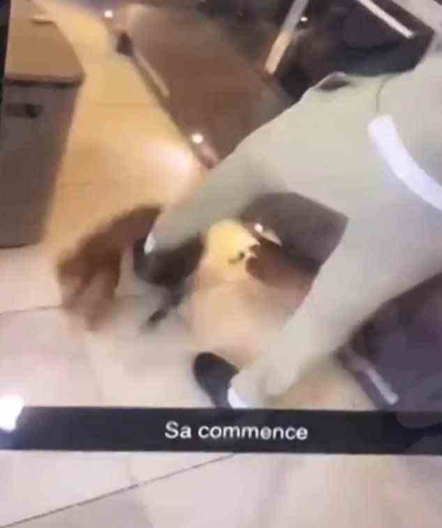The Snapchat video, captioned with 'Sa commence' showed Zouma kicking the cat across his kitchen floor