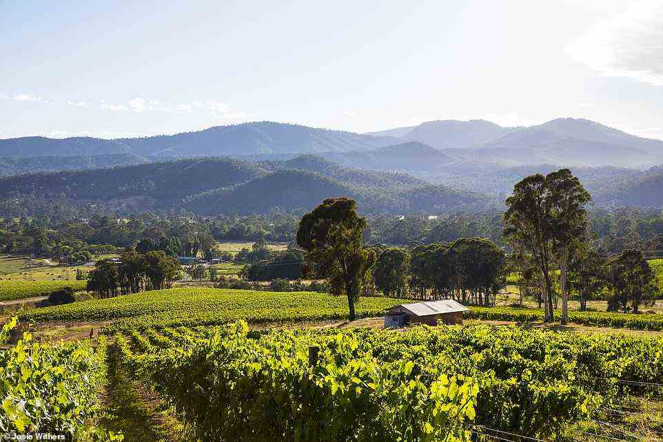 Fizzing: Ein Blick auf das Weingut Chrismont und die üppigen Weinberge des King Valley, Teil des Prosecco Road Tasting Trail