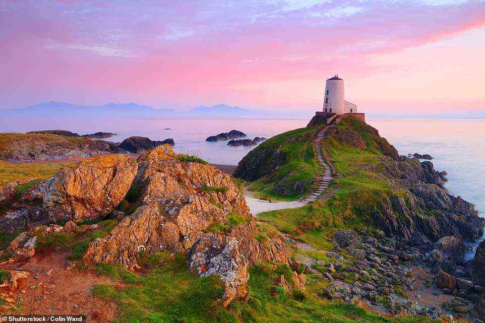 Wilde Idylle: Lizzie Enfield besuchte Llanddwyn Island vor der Küste von Anglesey.  Abgebildet ist der Leuchtturm Twr Mawr der Insel