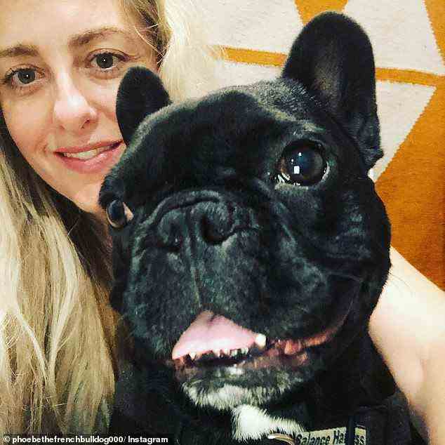 Sydney woman Maureen Elvy's French bulldog Phoebe has needed spinal, airway and genital surgery and regular immunotherapy costing a total estimated bill of $200,000 since she got the dog in 2017 (pictured, Ms Elvy with Phoebe)