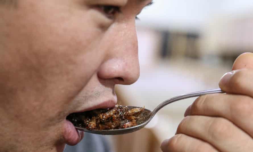Ein Mann löffelt sich einen großen Löffel gebackener Orthoptera-Grillen in den Mund