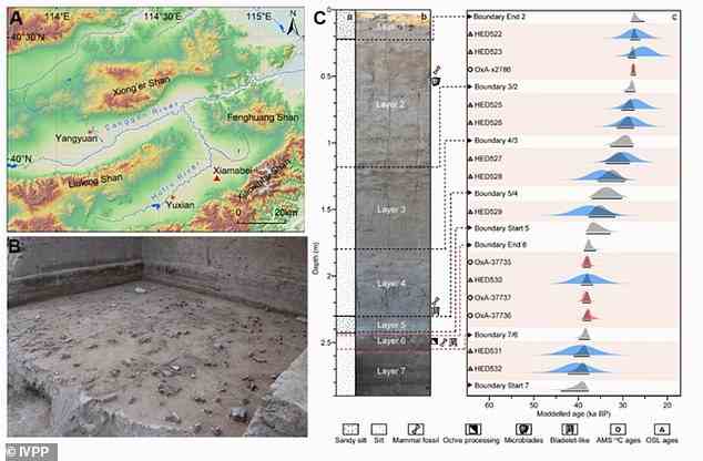 Der Standort Xiamabei und seine Chronologie, einschließlich der im Feld identifizierten stratigraphischen Schichten (C)