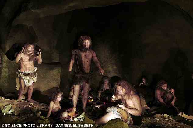 Neandertaler starben vor etwa 40.000 Jahren aus, haben aber den Ruf, massige, brutale Wesen zu sein, die hart und furchtlos waren