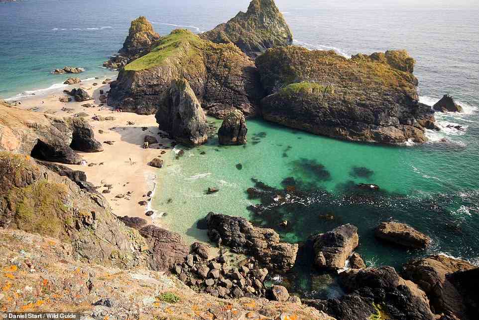 KYNANCE COVE AND ASPARAGUS ISLAND, CORNWALL: The tome describes this spot as a 'popular but spectacular cove with shiny, serpentine rocks'. Daredevils, we're told, leap from the pinnacles. Coordinates: 49.9755, -5.2309