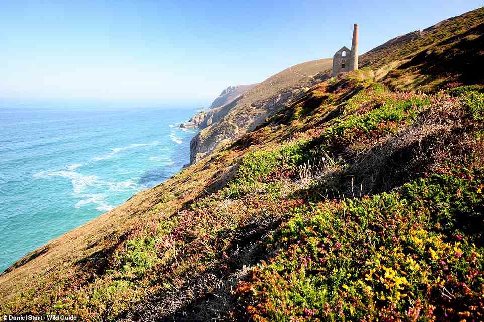 CHAPEL PORTH, ST AGNES, CORNWALL: Beneath Wheal Coates, a former tin mine (pictured), is a 'popular and dramatic cove', where 'low tide reveals huge stretches of sand, with access to a large, part-flooded sea cave'. Coordinates: 50.3010, -5.2357