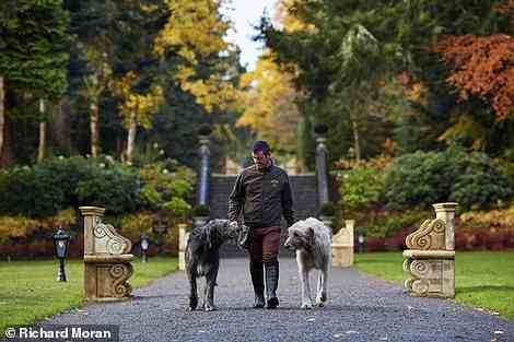 Ashford Castle’s friendly, dozy Irish wolfhounds Cronan and Garvan (pictured here with a member of staff) appear in the lobby each morning