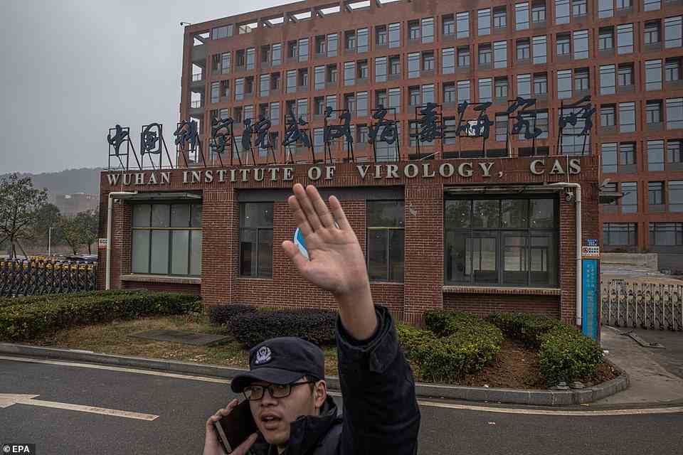 Pictured: The Wuhan Institute of Virology, where some believe the virus may have been accidentally leaked from