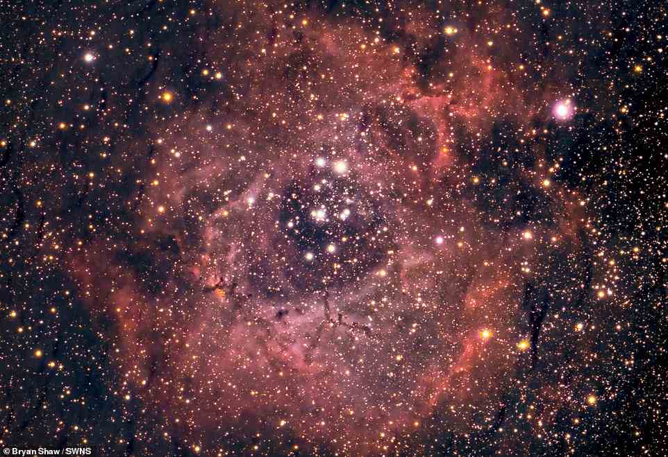The Rosette Nebula, an open star cluster with rose-like cosmic clouds of gas and dust. Shaw said: 'Clear nights are rare so, I shot this from the front garden last night under the street lights'