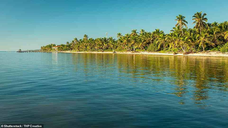 Ein Strand auf Ambergris Caye – der größten der vielen Inseln, die zwischen dem Festland von Belize und dem mesoamerikanischen Barrier Reef liegen