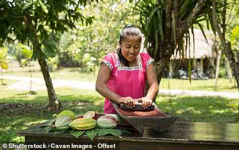 Eine Frau nimmt an einem Kurs auf einer Kakaoplantage in Punta Gorda teil