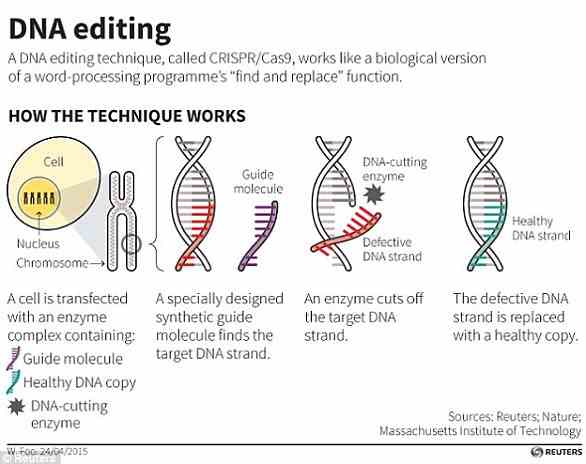 Die CRISPR/Cas9-Technik verwendet Tags, die den Ort der Mutation identifizieren, und ein Enzym, das als winzige Schere fungiert, um DNA an einer genauen Stelle zu schneiden, wodurch kleine Teile eines Gens entfernt werden können