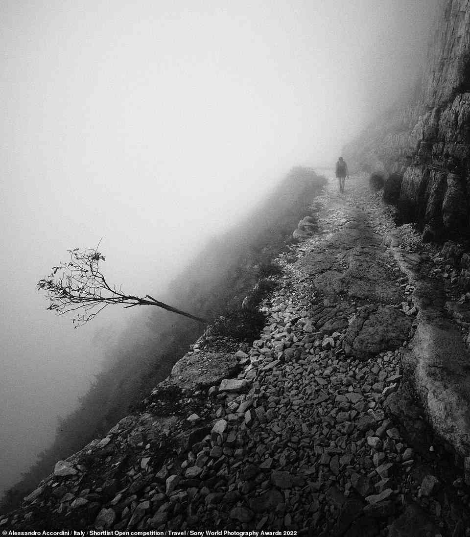The haunting beauty of this image, with its gnarled tree and figure in the distance disappearing into the fog, echoes the dark past of Pasubio mountains. The group of rugged peaks was the setting for some treacherous World War I battles, and the steep slopes are scarred by trails dating back to that era. Named simply 'Human Nature', this picture by Italian photographer Alessandro Accordini was shortlisted for the Travel category