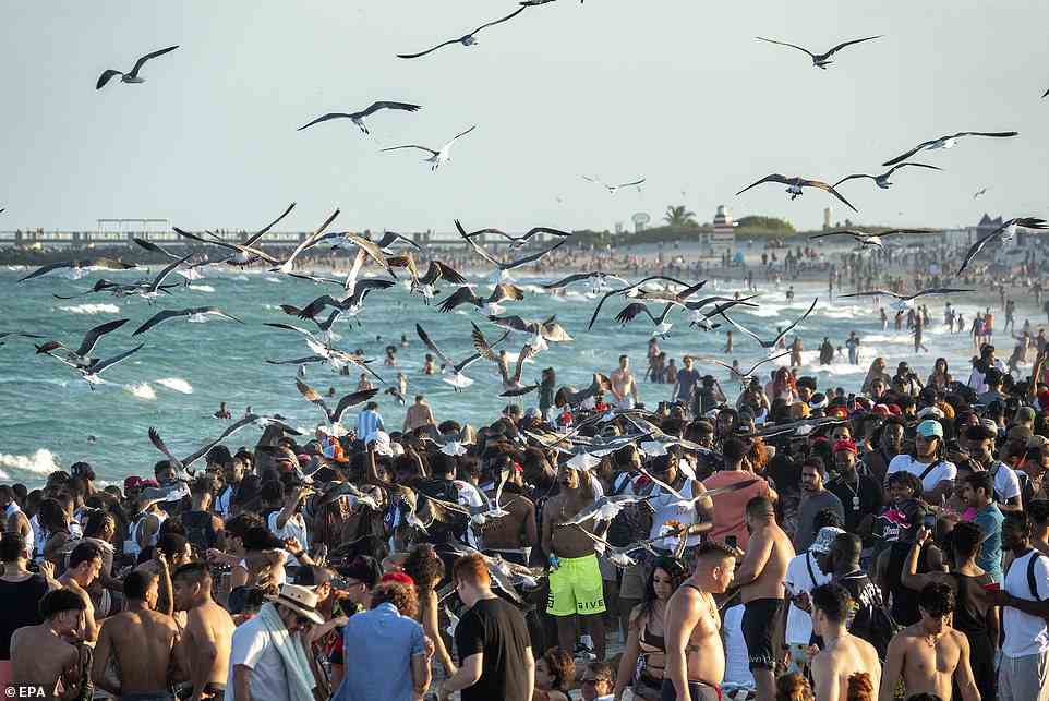 Partygänger (und Möwen) genossen Miami Beach am Wochenende des 11. März dieses Jahres