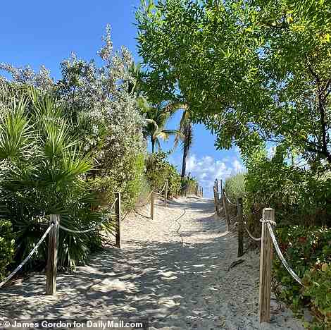 Ein von Bäumen gesäumter Durchgang, der zu den weichen weißen Sandstränden von South Beach in Miami Beach führt