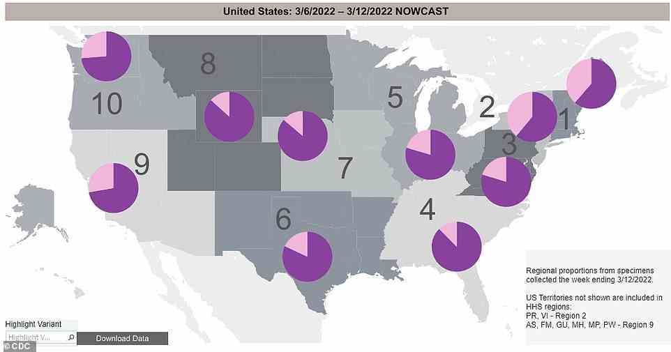 Die Stealth-Variante (pink) ist im Nordosten und in New York am weitesten verbreitet und macht jeweils etwa 40 % der Fälle aus.  Die Linie ist in keinem Gebiet der USA dominant