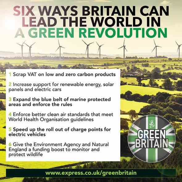 Infografik zum Grünen Großbritannien