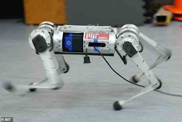 Der bisherige Hochgeschwindigkeitsrekord wurde 2019 vom Biomimetic Robotics Laboratory am MIT aufgestellt, als Wissenschaftler eine Höchstgeschwindigkeit von 8,2 mph (3,7 m/s) erreichten.  Der neueste Mini-Gepardenroboter erreichte mehr als 3,9 m/s (8,7 mph)