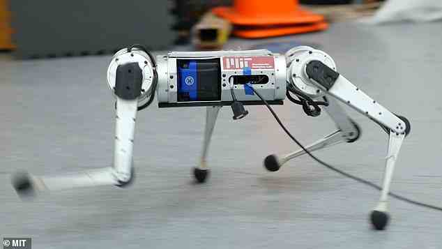 Die Forscher sagten, dass ihr spezielles Lernsystem so erfolgreich war, dass der Roboter den Rekord für den schnellsten Lauf gebrochen hatte, der für seine spezifische Plattform aufgezeichnet wurde