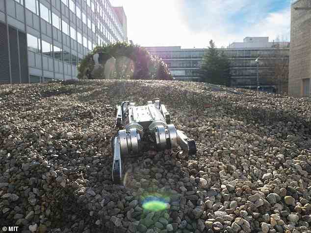 Wenn es um einen laufenden Roboter geht, wie die MIT-Forscher erklären, kann es ziemlich schwierig sein, ihn für tückisches Gelände zu programmieren