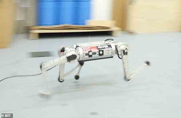 Auf die Frage, warum es viel schwieriger sei, einen Roboter zum Laufen anstatt zum Gehen zu bringen, sagten die Forscher: „Um schnell laufen zu können, muss die Hardware an ihre Grenzen gebracht werden.“