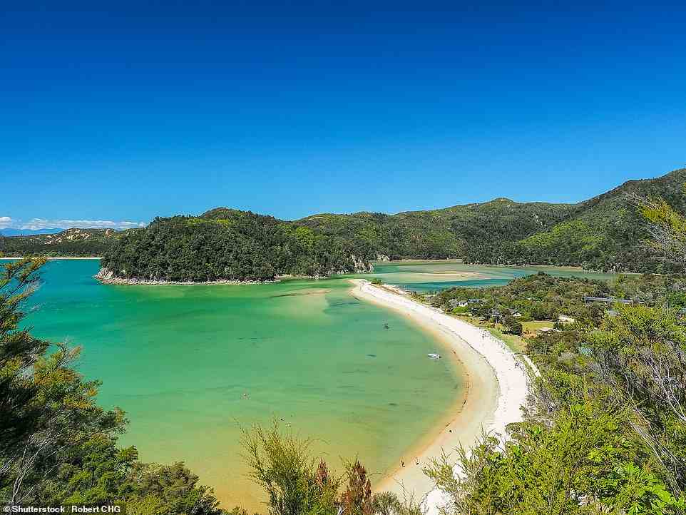 Torrent Bay in Abel Tasman National Park, which is New Zealand’s smallest National Park at just 87 square miles